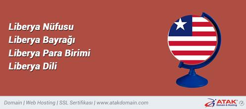 ulke kodu atak domain