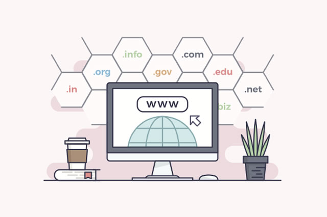 İkinci Seviye Domain - SLD Nedir? | Atak Domain Hosting