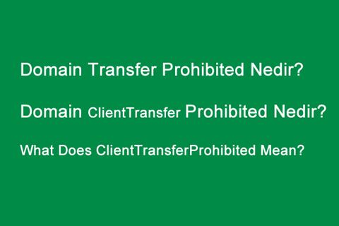 Domain Transfer Prohibited Nedir?