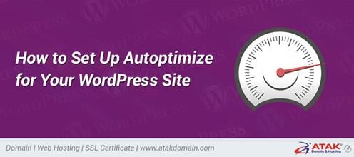 How to Set Up Autoptimize for Your WordPress Site