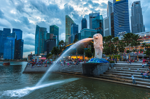How to buy a Singapore .sg domain name ?