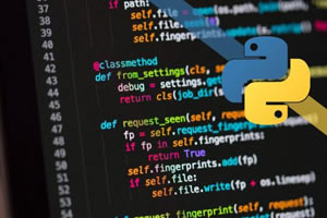 Python Nedir - Atak Domain Hosting