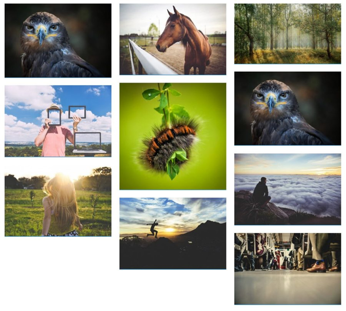 16 Best WordPress Photo Gallery Plugins (Compared With Examples) | Atak Domain Hosting