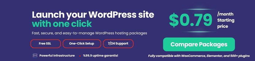 WordPress Hosting