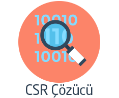 What is CSR Decoder?