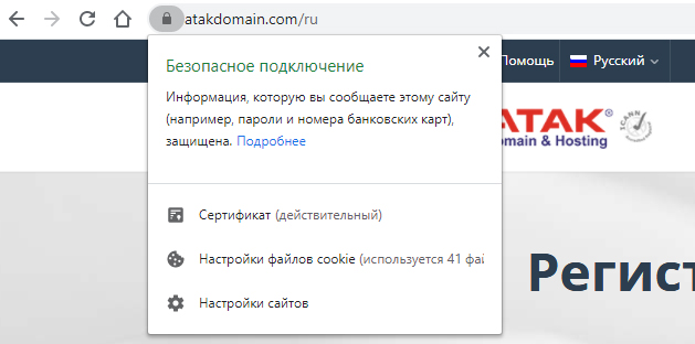 Как DV сертификат выглядит в веб-браузере?
