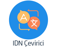What is IDN Converter?