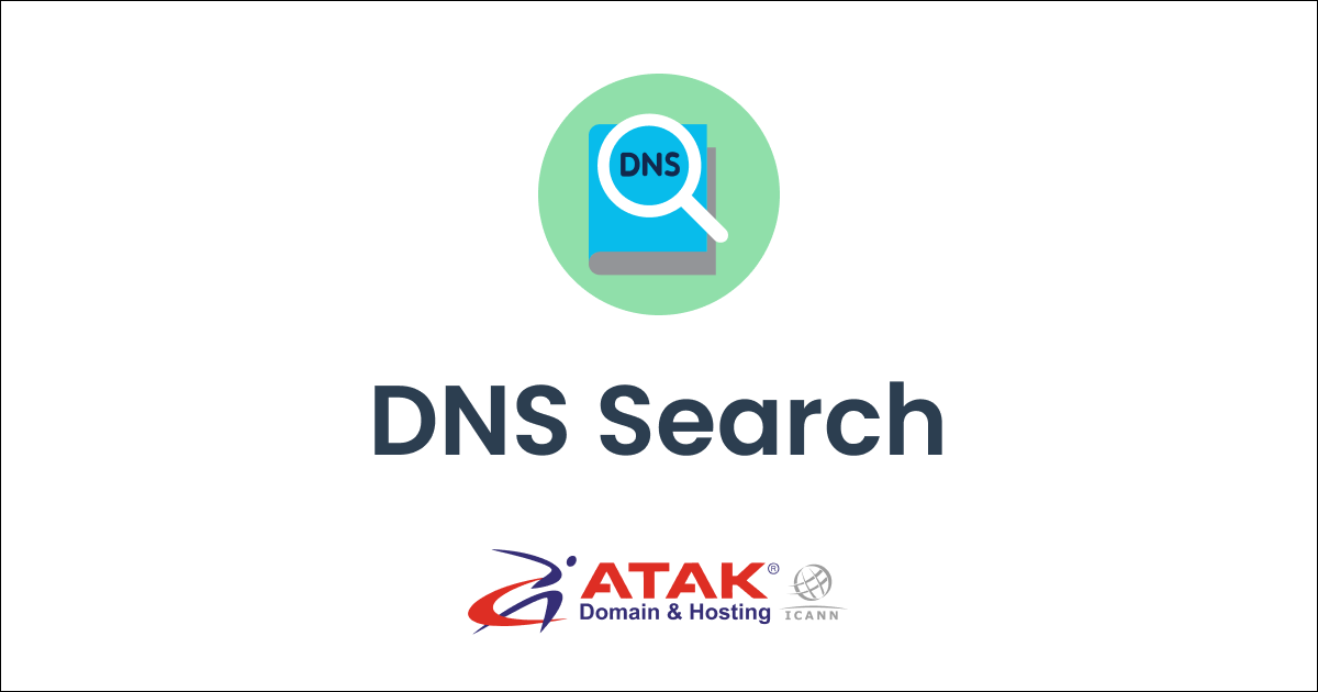DNS Search - DNS Record Search - DNS Lookup