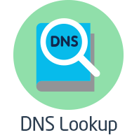DNS Search