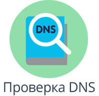 DNS поиск