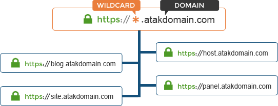Wildcard SSL Nasıl Çalışıyor?