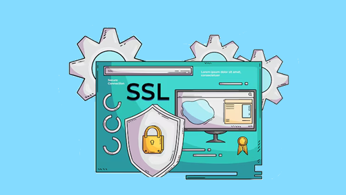Wildcard SSL Sertifikası (OV)